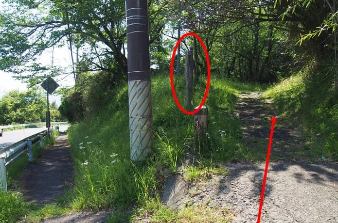 箱根旧街道　臼転坂