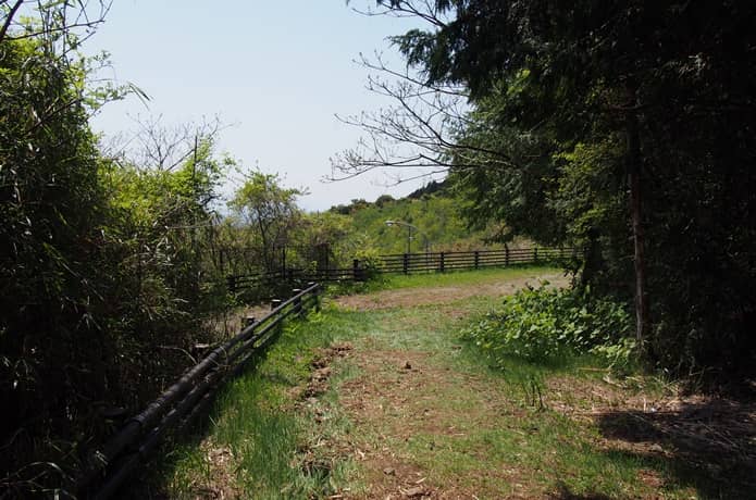 箱根旧街道　開けた道