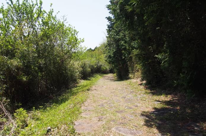 箱根旧街道　小径