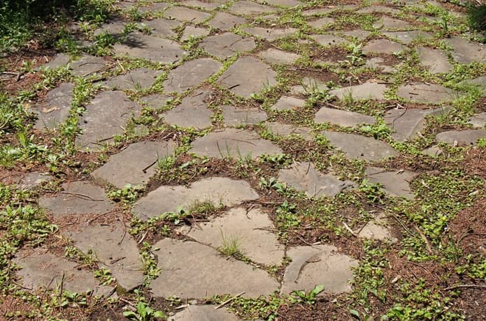 箱根旧街道　願合寺区　石畳　