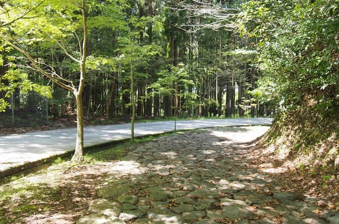 箱根旧街道　願合寺区　石畳　