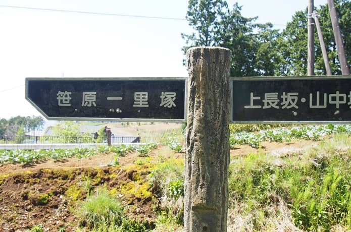 箱根旧街道　案内標識