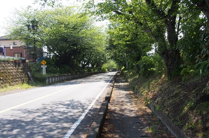 三島市　歩道