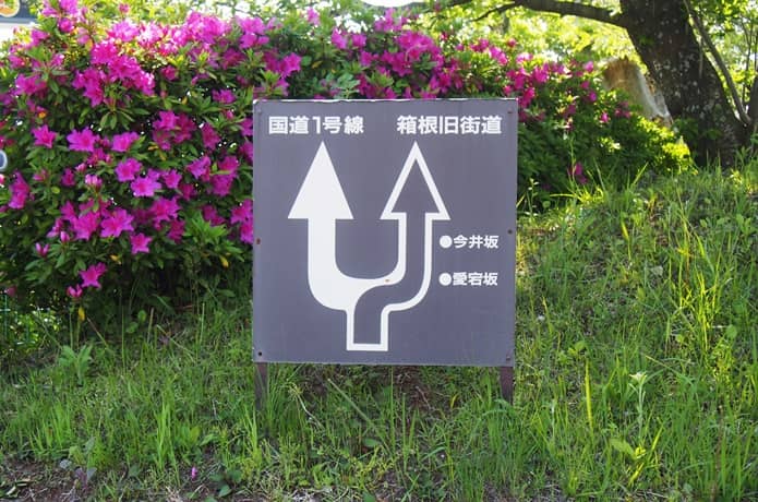 箱根旧街道　