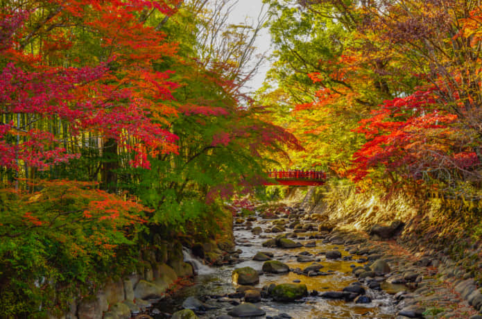 修善寺　紅葉　橋