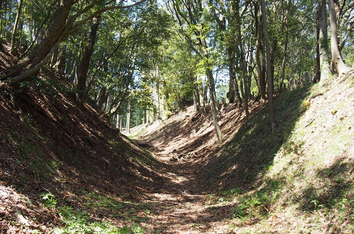 山中城　堀