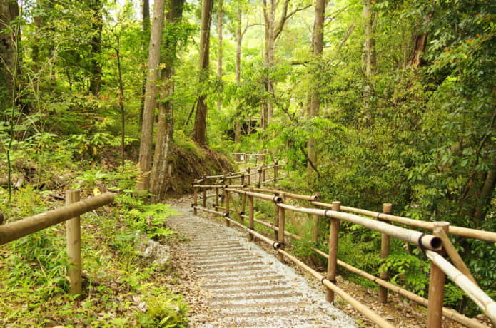湯ヶ島温泉　遊歩道