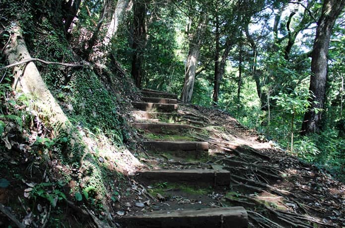 伊豆山神社　山道　参道