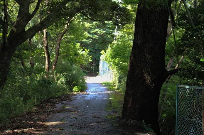伊豆山神社　道路