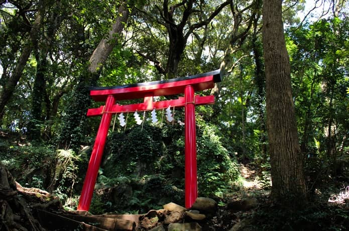 伊豆山神社　山道　朱色の鳥居