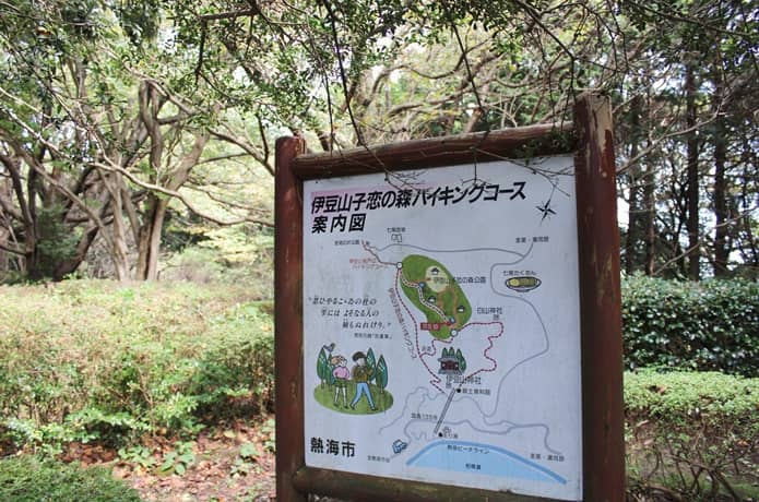 子恋の森