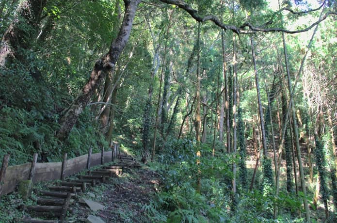 伊豆山神社　登山道
