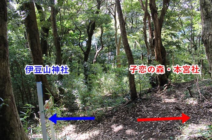 伊豆山神社　参道　分岐点
