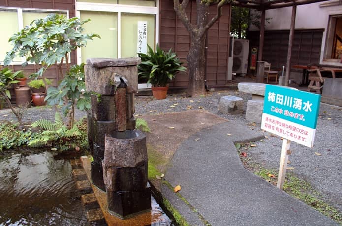 柿田川　飲み水