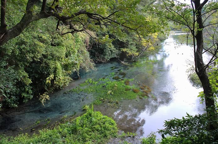 柿田川　わき間