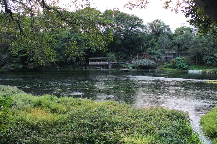柿田川