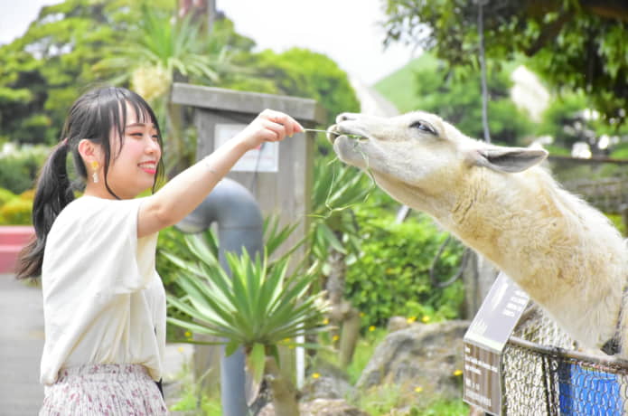 エサやり