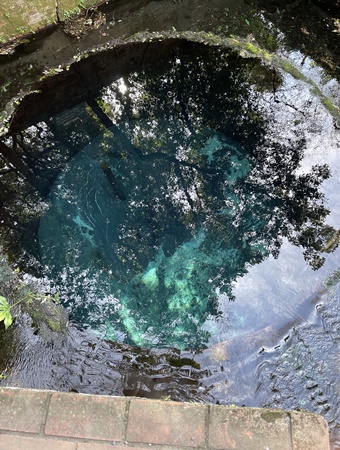 柿田川　ブルーホール　春