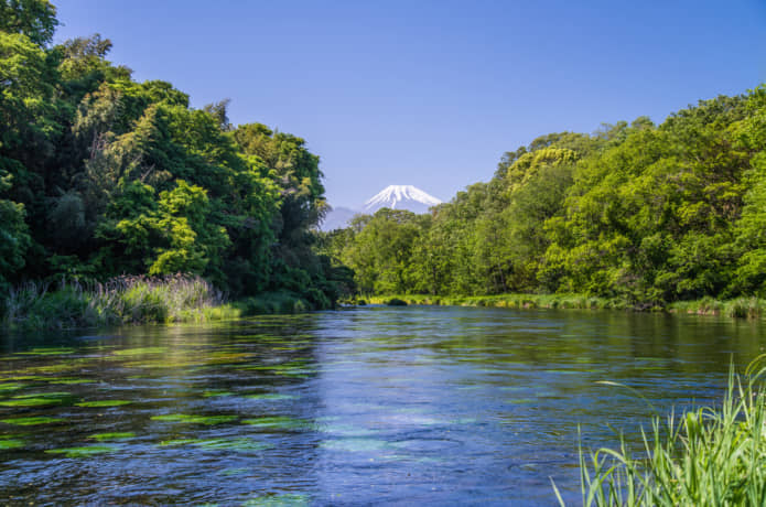 柿田川と富士山
