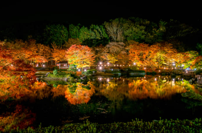 虹の郷　紅葉