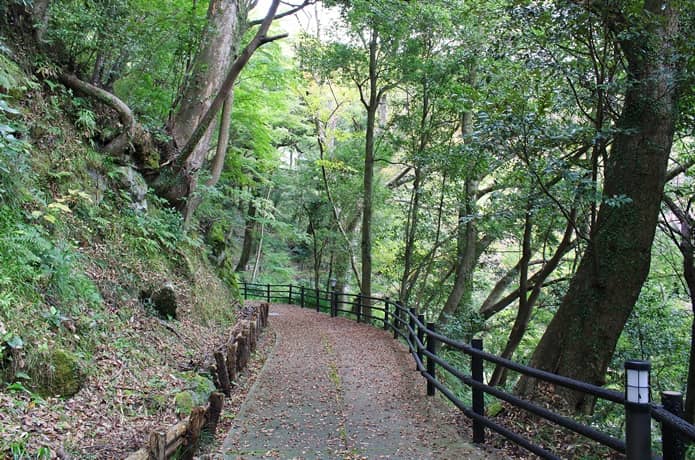 天城湯ヶ島温泉　湯道へ続く道