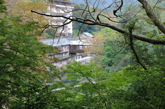 木々の間からみえる湯ヶ島温泉