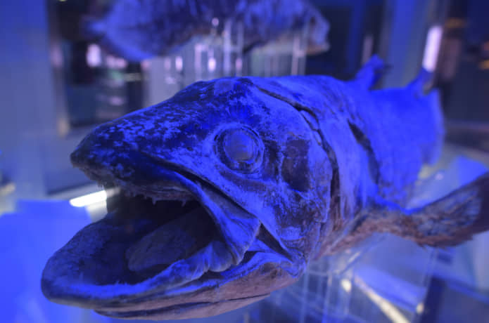 沼津港水族館