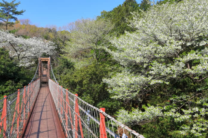 駿河平自然公園