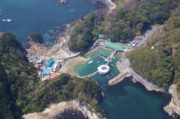 下田海中水族館
