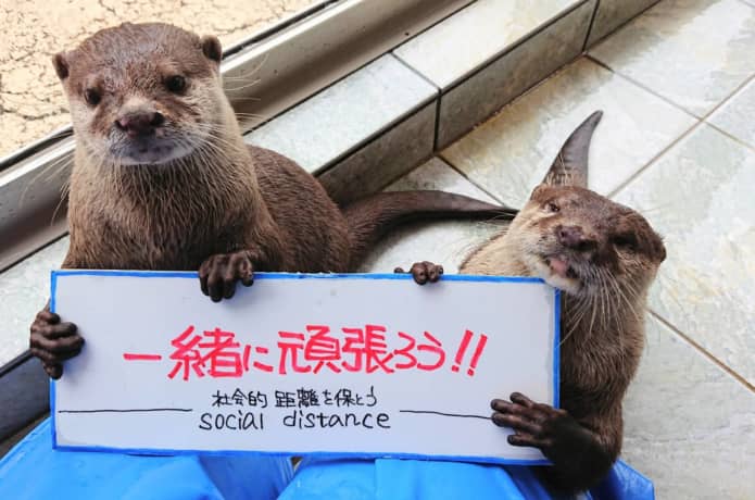 下田海中水族館