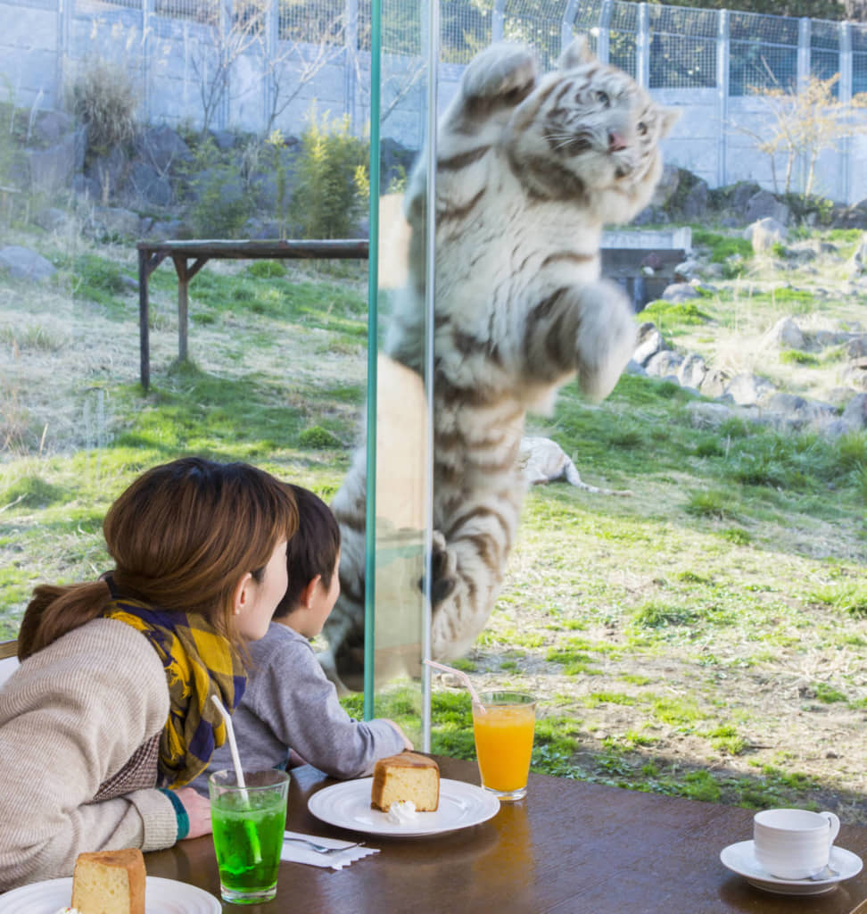 レストラン