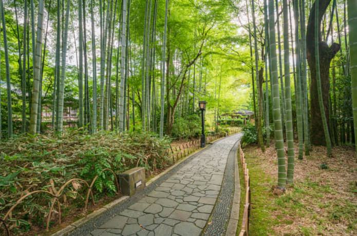 修善寺　石畳