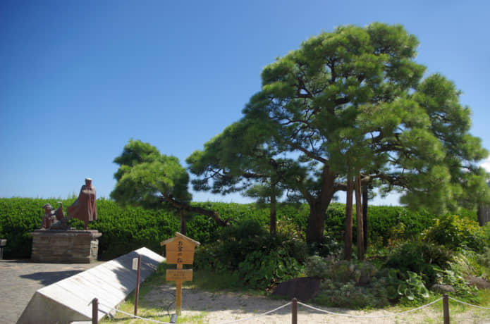 お宮の松