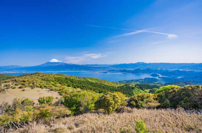 金冠山