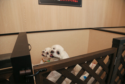 愛犬の駅　トイレ前の犬の待合室