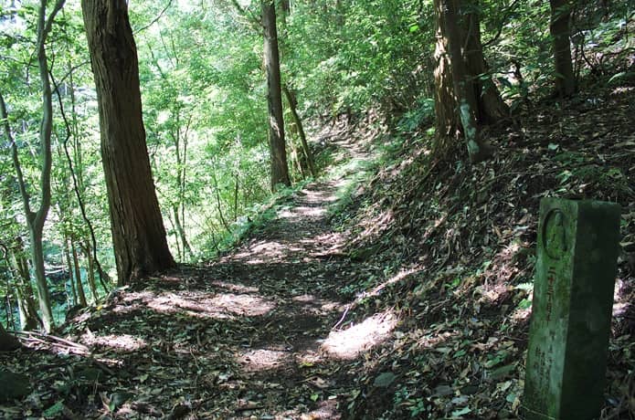日金山　登山道