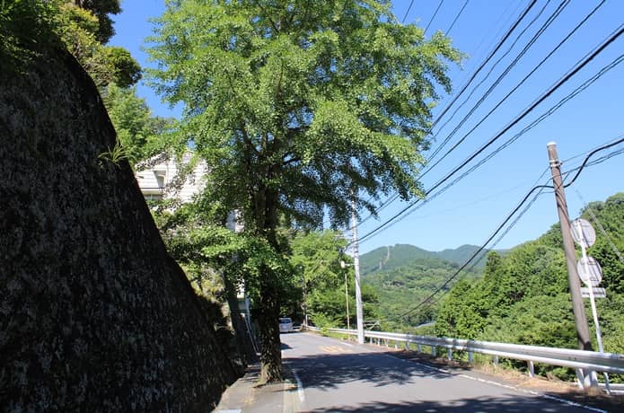 熱海市　車道