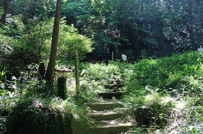 日金山　林道