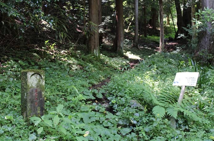 日金山　分かりにくい登山道