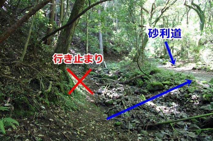 日金山　行き止まり