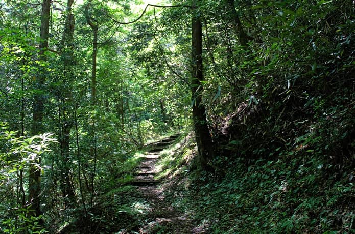 日金山　登山道　後半