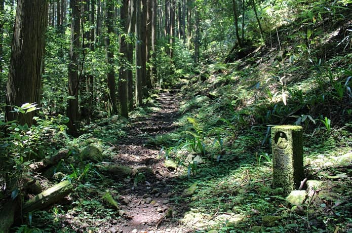 日金山　登山道
