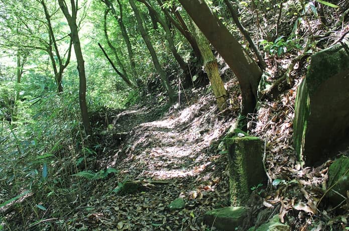 日金山　登山道　後半