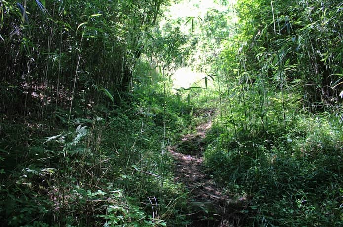 日金山　急な坂