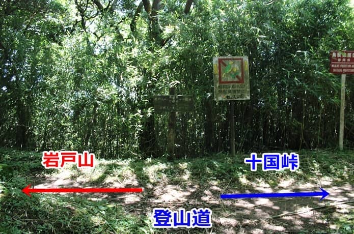 日金山　湯河原分岐点