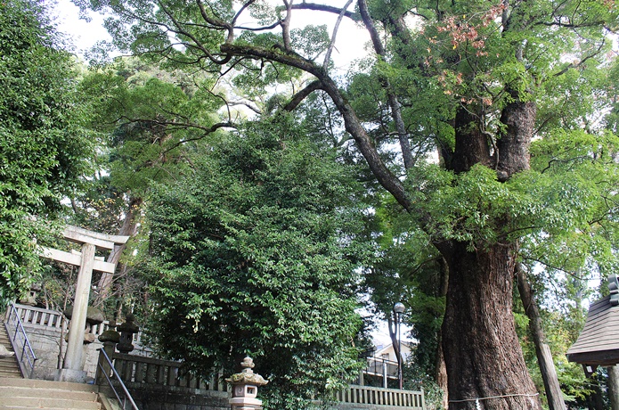 五所神社　境内
