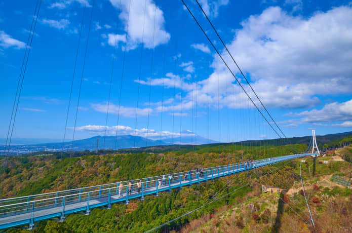 三島スカイウォーク　吊橋