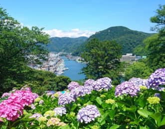 下田公園の見どころを解説！2023年のあじさい祭や黒船祭の情報も紹介