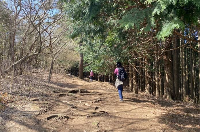 登山道