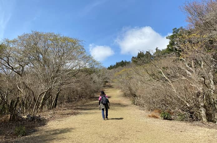 芝生の登山道